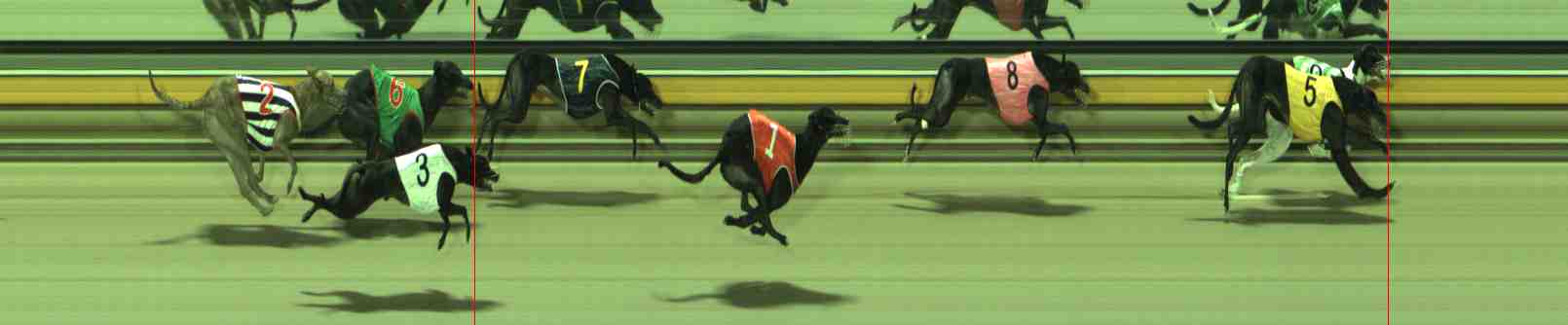 Photo finish for Sale Race 11