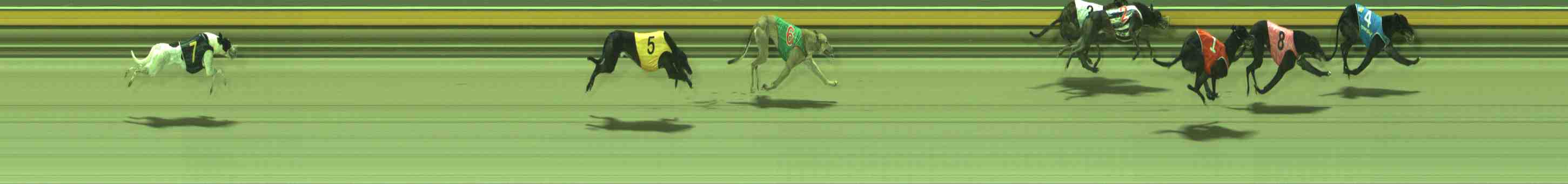Photo finish for Sale Race 12
