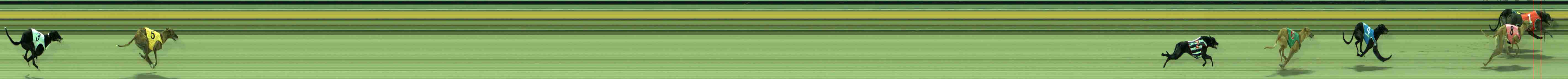 Photo finish for Sale Race 2