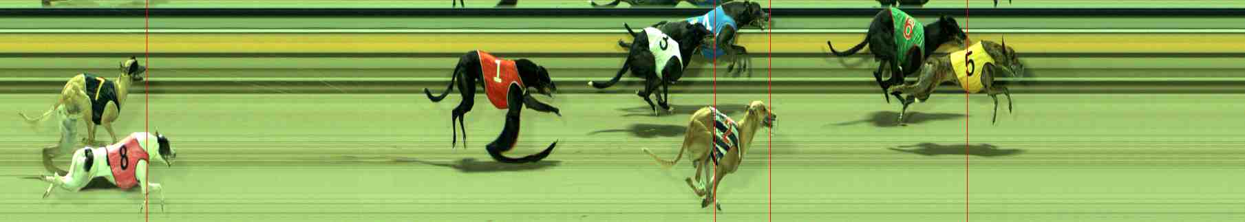 Photo finish for Sale Race 3