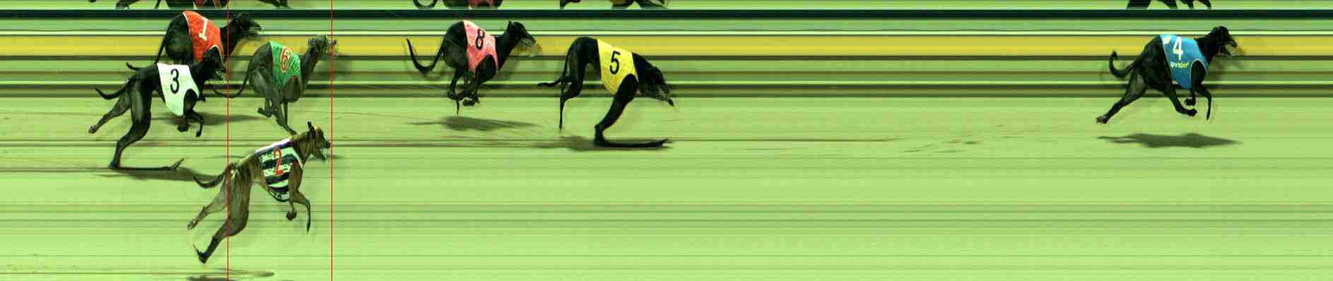 Photo finish for Sale Race 4