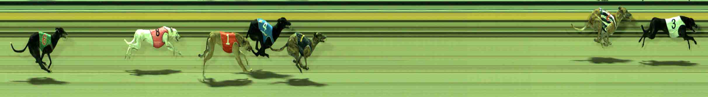 Photo finish for Sale Race 6