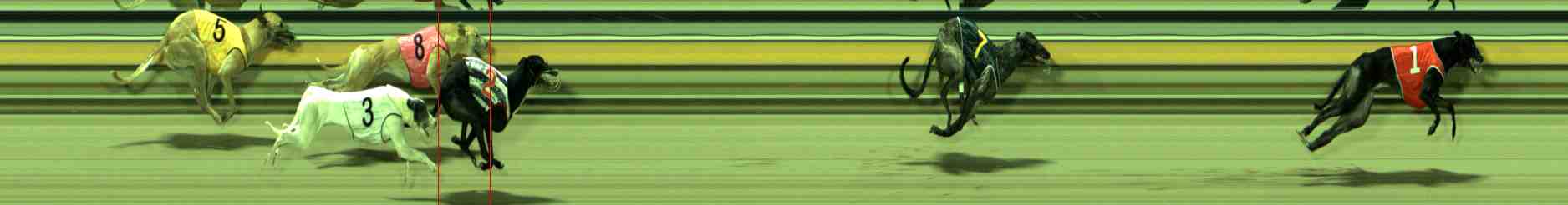 Photo finish for Sale Race 7