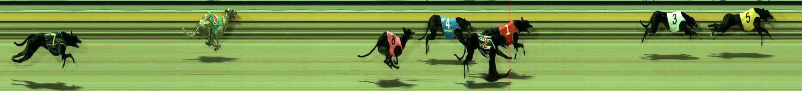 Photo finish for Sale Race 9