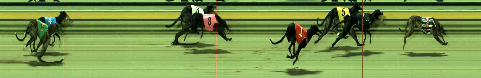Photo finish for Sale Race 10