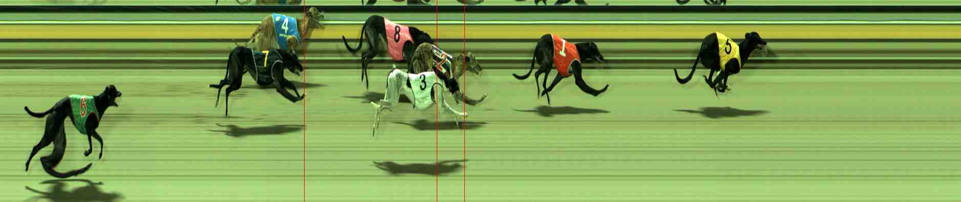Photo finish for Sale Race 11
