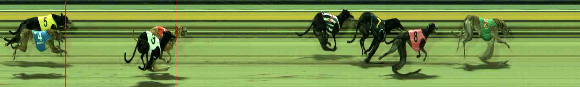 Photo finish for Sale Race 12