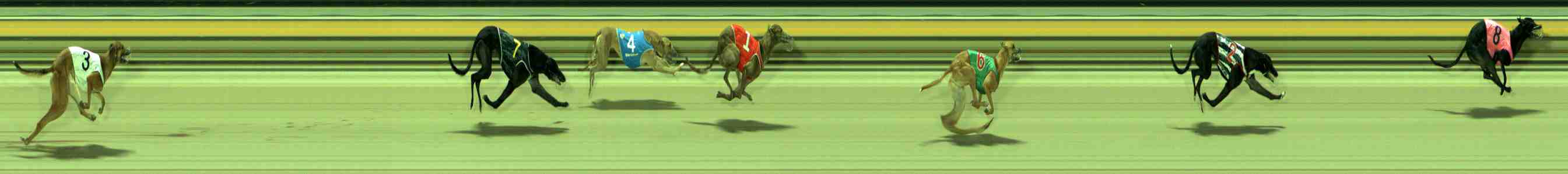 Photo finish for Sale Race 1