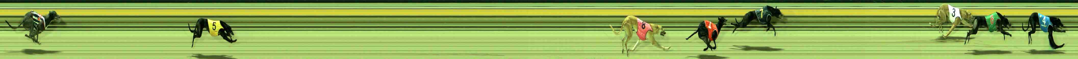 Photo finish for Sale Race 2