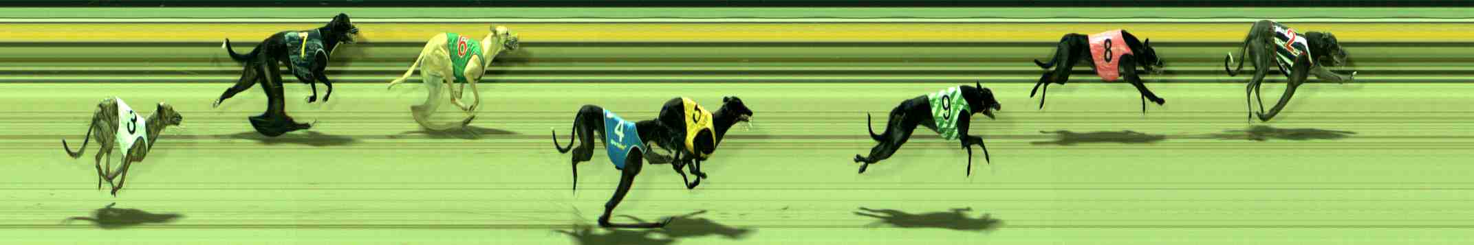 Photo finish for Sale Race 3