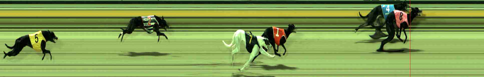 Photo finish for Sale Race 4