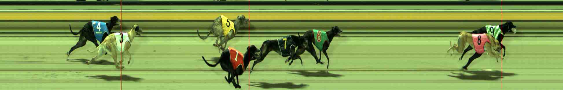 Photo finish for Sale Race 5