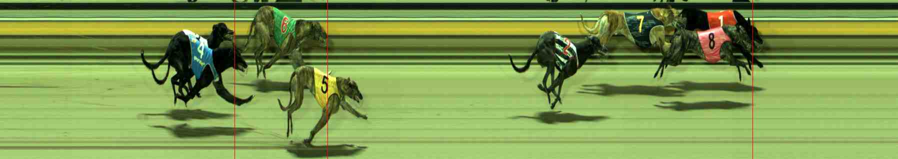 Photo finish for Sale Race 7