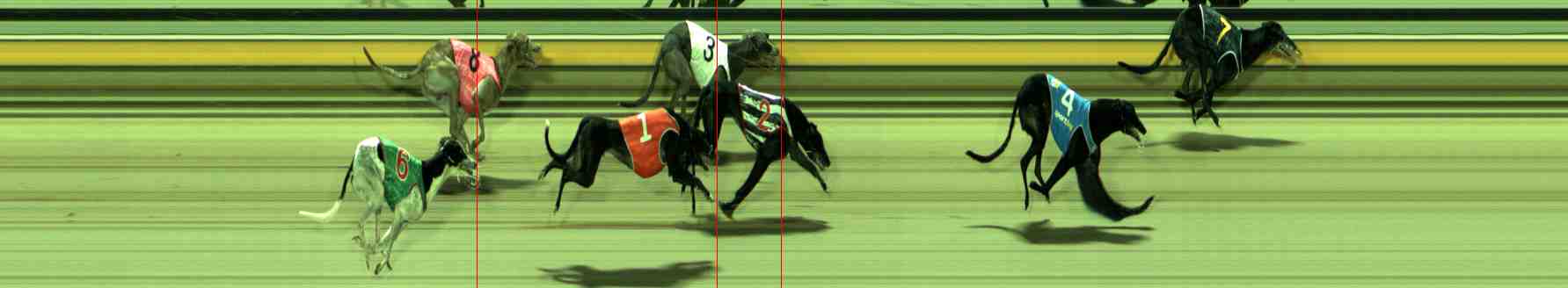 Photo finish for Sale Race 8