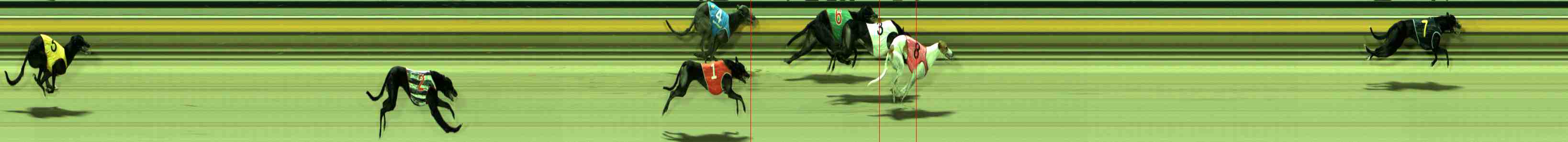 Photo finish for Sale Race 9