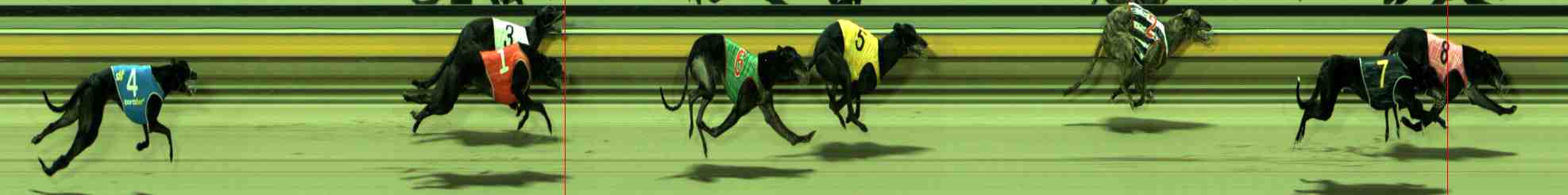 Photo finish for Sale Race 10