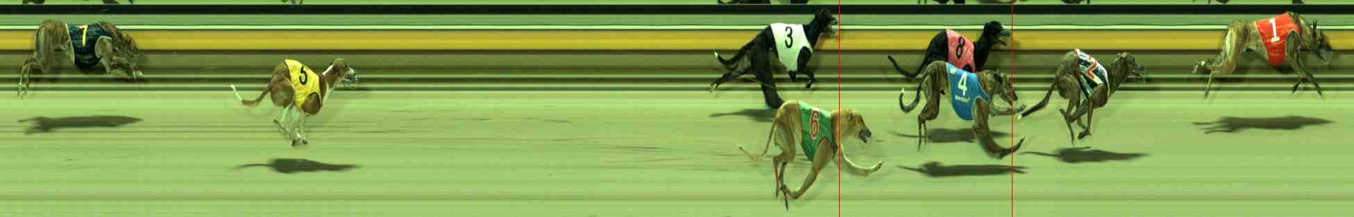 Photo finish for Sale Race 11