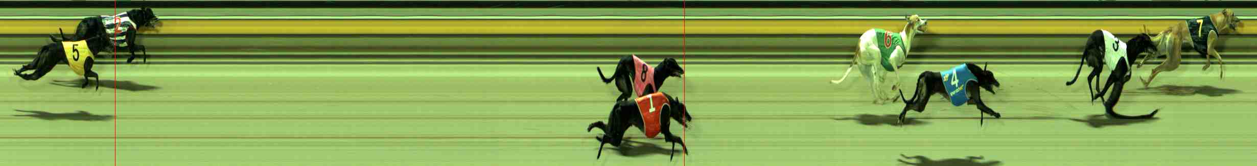 Photo finish for Sale Race 12