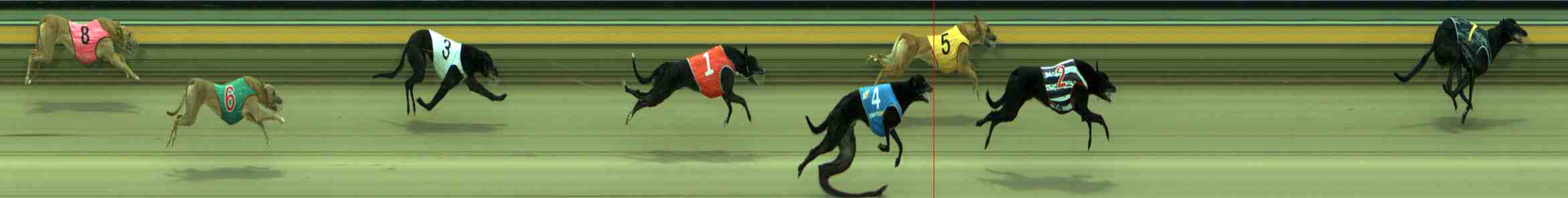 Photo finish for Sale Race 1