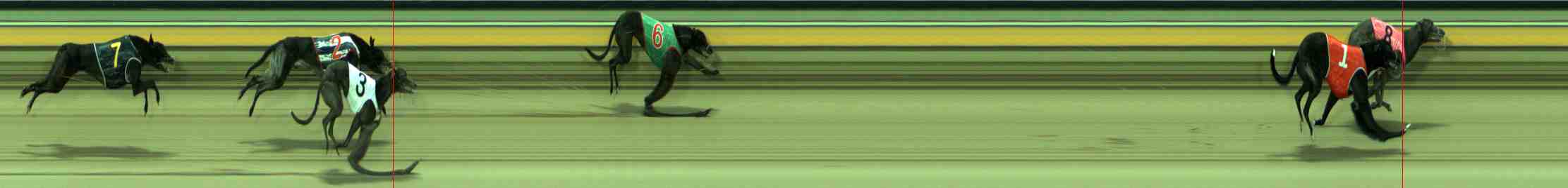 Photo finish for Sale Race 2