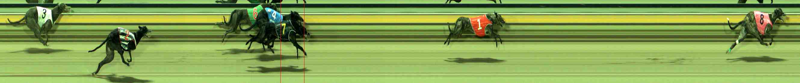 Photo finish for Sale Race 5