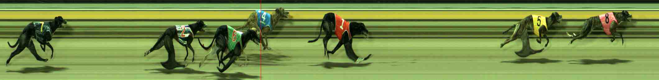 Photo finish for Sale Race 6