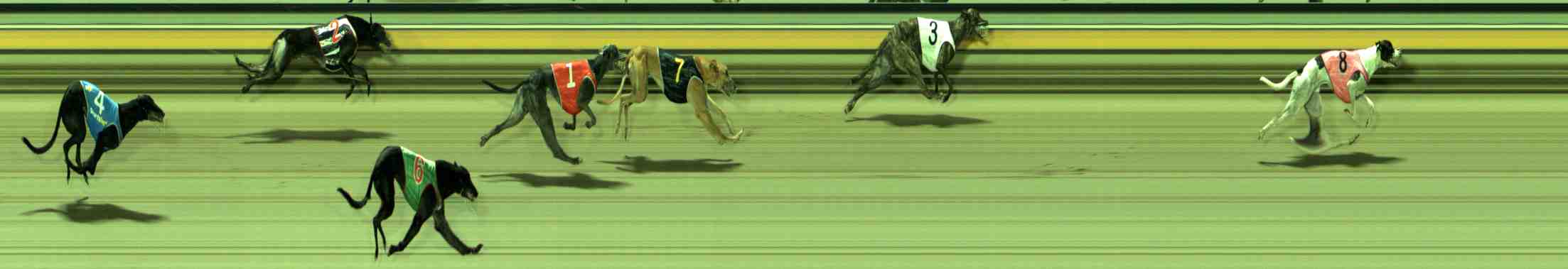 Photo finish for Sale Race 8