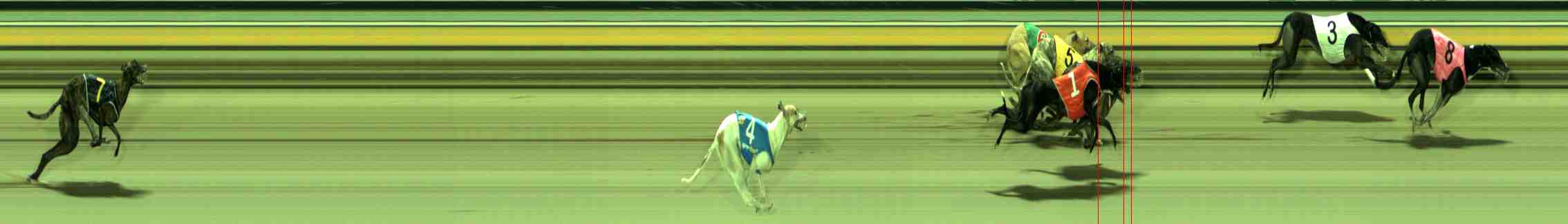 Photo finish for Sale Race 10