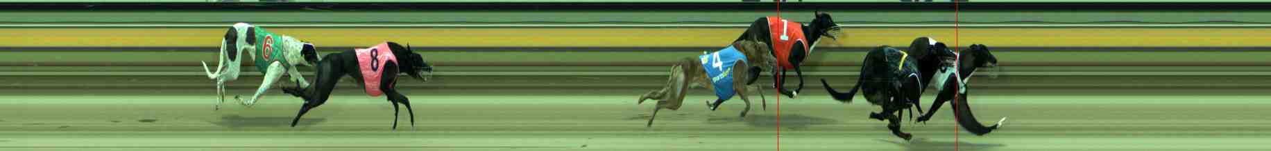 Photo finish for Sale Race 1