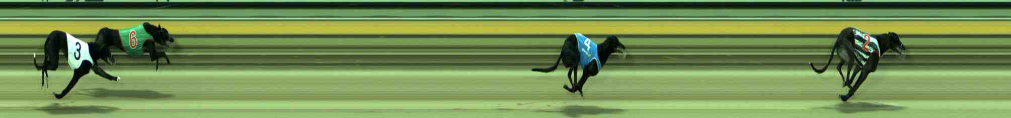 Photo finish for Sale Race 2