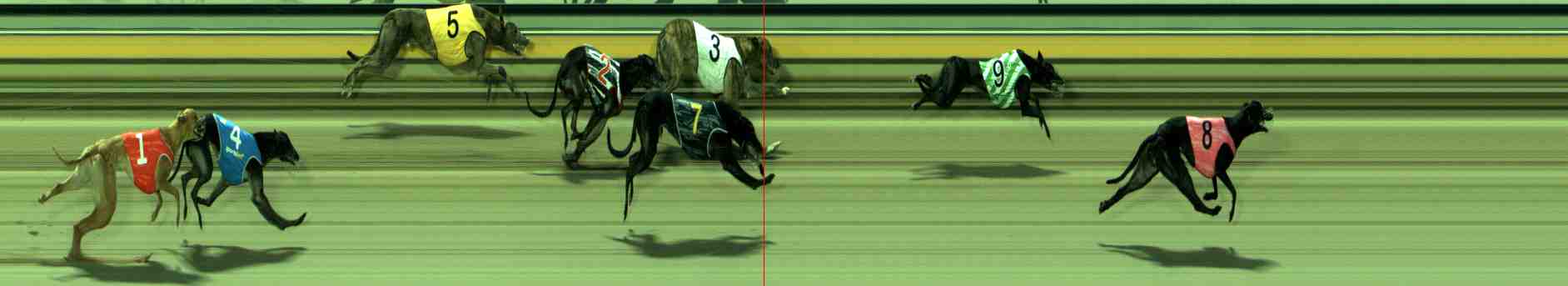 Photo finish for Sale Race 3