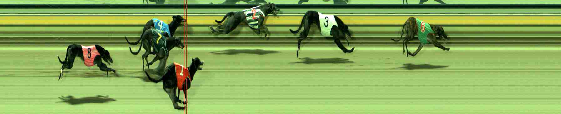 Photo finish for Sale Race 4