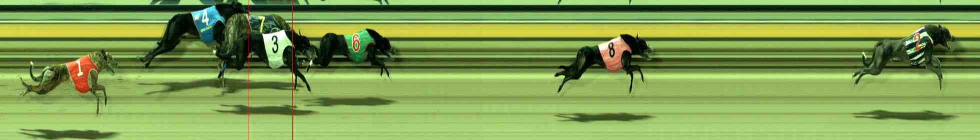 Photo finish for Sale Race 5