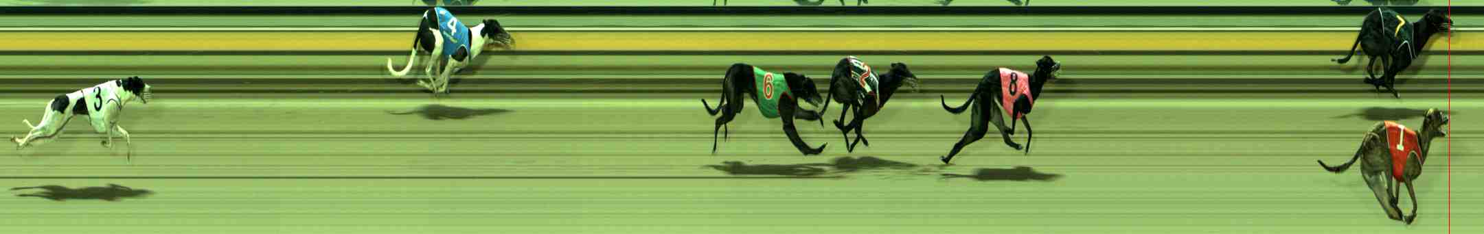 Photo finish for Sale Race 6