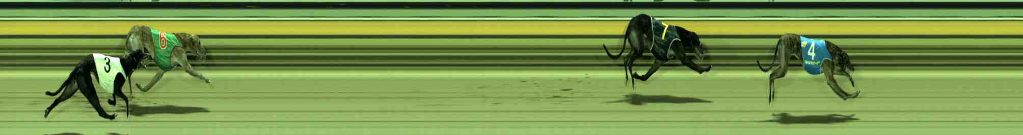 Photo finish for Sale Race 8