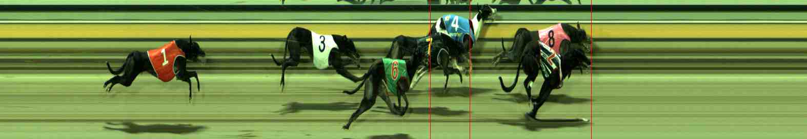 Photo finish for Sale Race 9