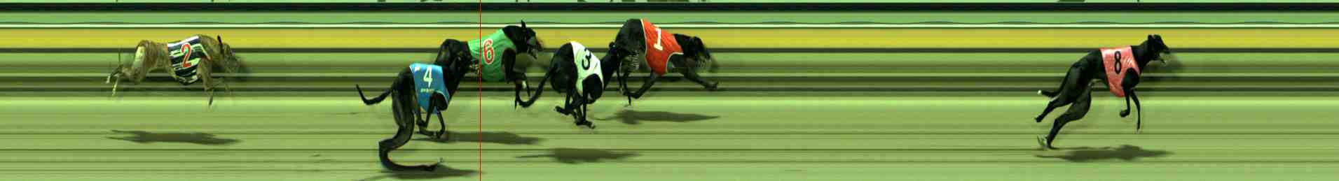 Photo finish for Sale Race 10