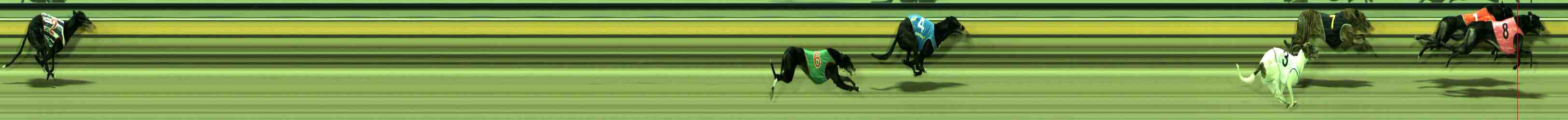 Photo finish for Sale Race 11