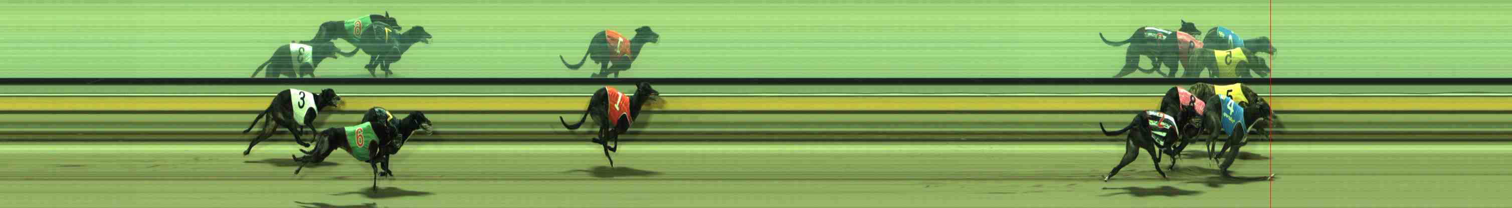 Photo finish for Sale Race 8