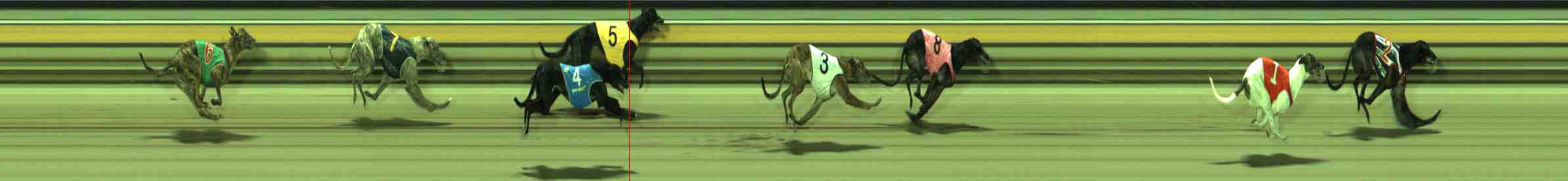 Photo finish for Sale Race 11