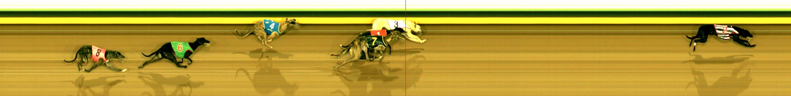 Photo finish for Sandown (SAP) Race 1