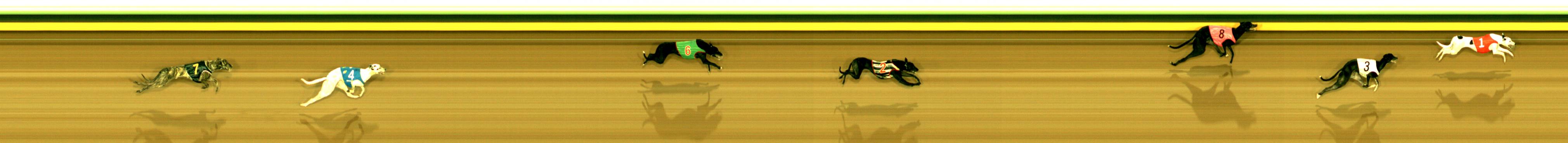 Photo finish for Sandown (SAP) Race 2