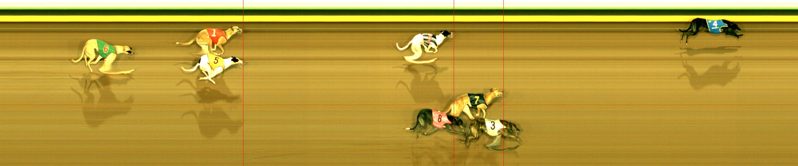 Photo finish for Sandown (SAP) Race 3