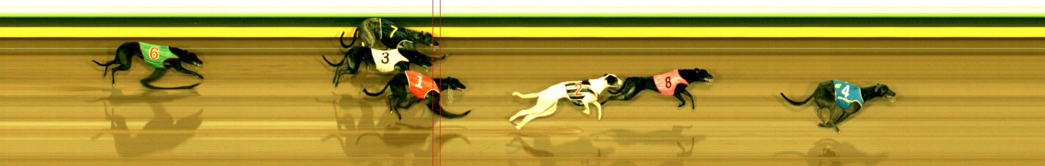 Photo finish for Sandown (SAP) Race 4