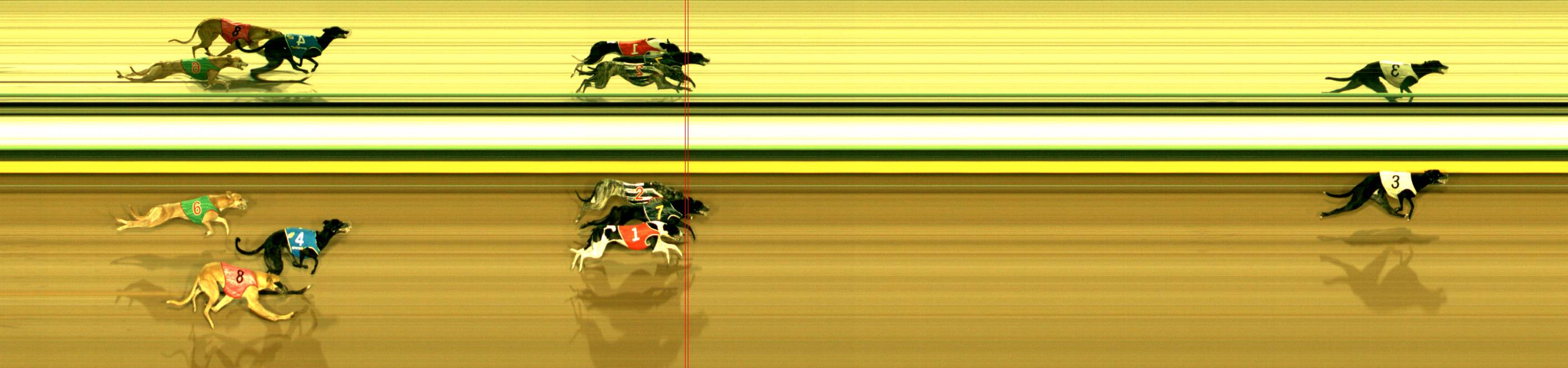 Photo finish for Sandown (SAP) Race 5