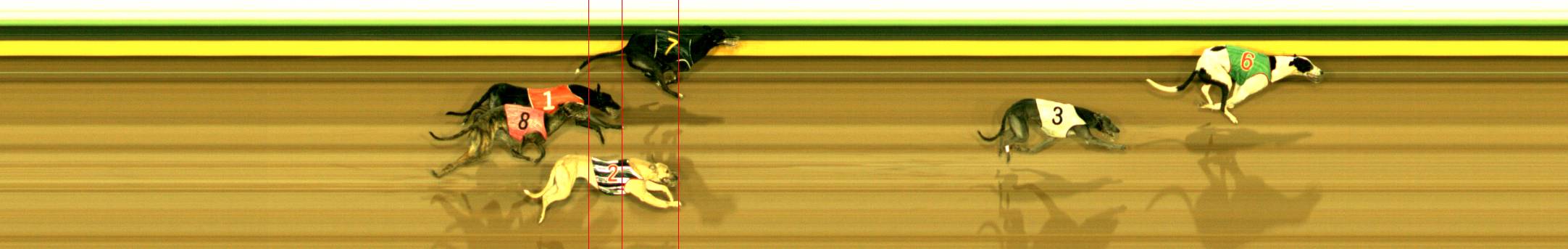 Photo finish for Sandown (SAP) Race 6