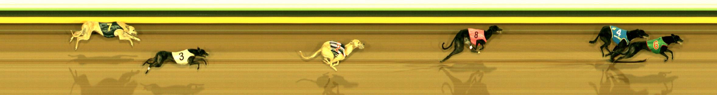 Photo finish for Sandown (SAP) Race 7