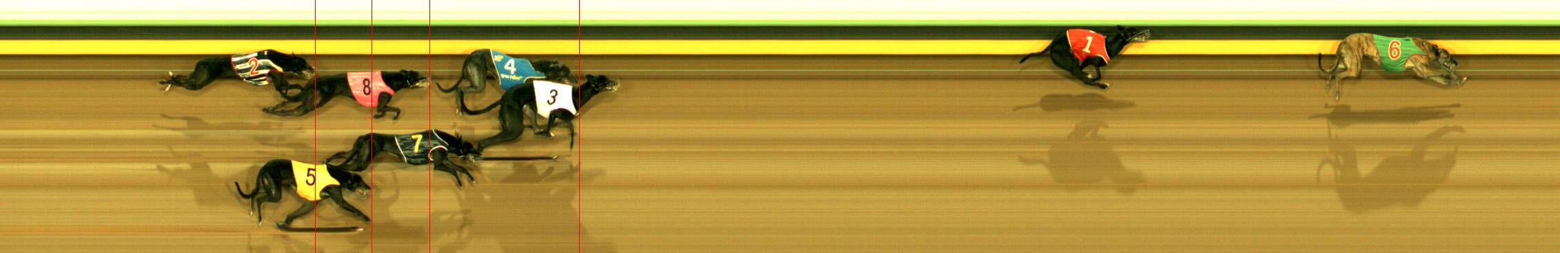 Photo finish for Sandown (SAP) Race 8