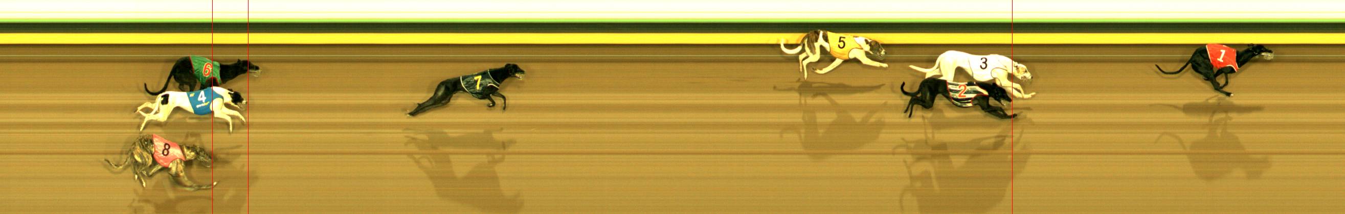 Photo finish for Sandown (SAP) Race 9
