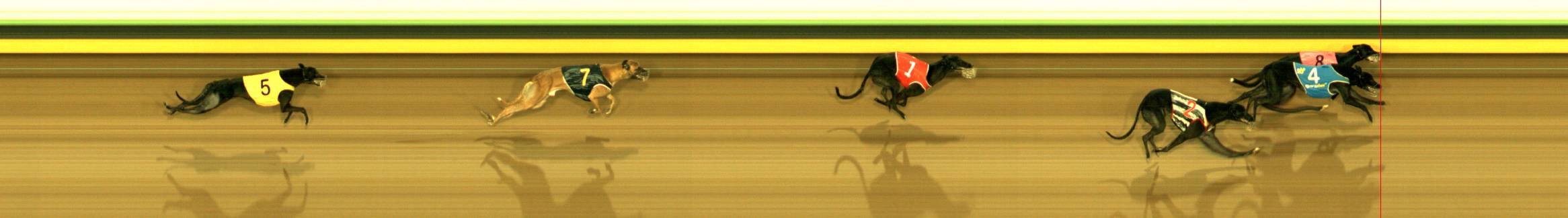 Photo finish for Sandown (SAP) Race 10